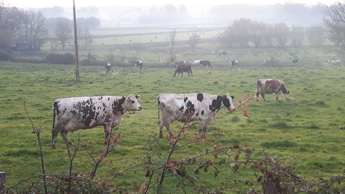 Sortie à la ferme de La Puillière